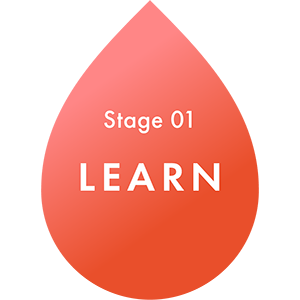 Stage 1: LEARN