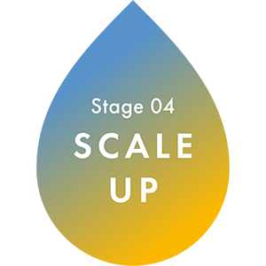Stage 4: SCALE UP