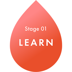 Stage 1: LEARN