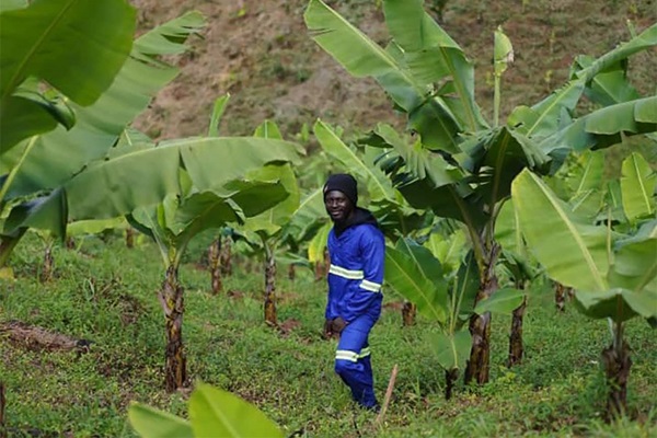 Meet Patrick Kuyokwa, Agri-entrepreneur Promoting Sustainable and Economically Viable Agriculture