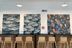 Sustainable aquaculture for a better food future