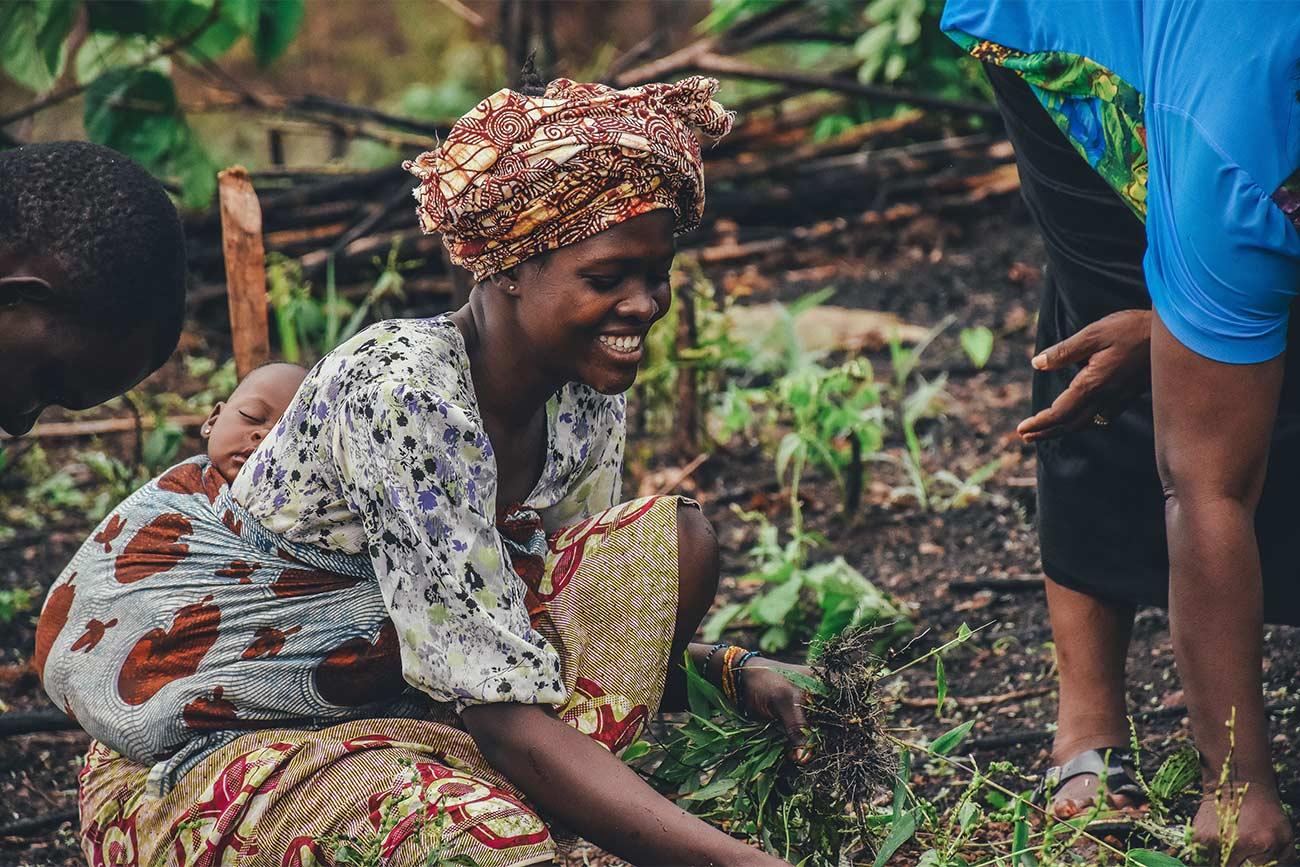 Africa francophone workshop on the importance of young farmers in the transformation of agrifood systems