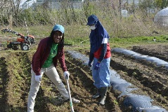 Meet Gonroudobou Marietta, Young Agricultural Researcher Lighting Up the Future of Agriculture