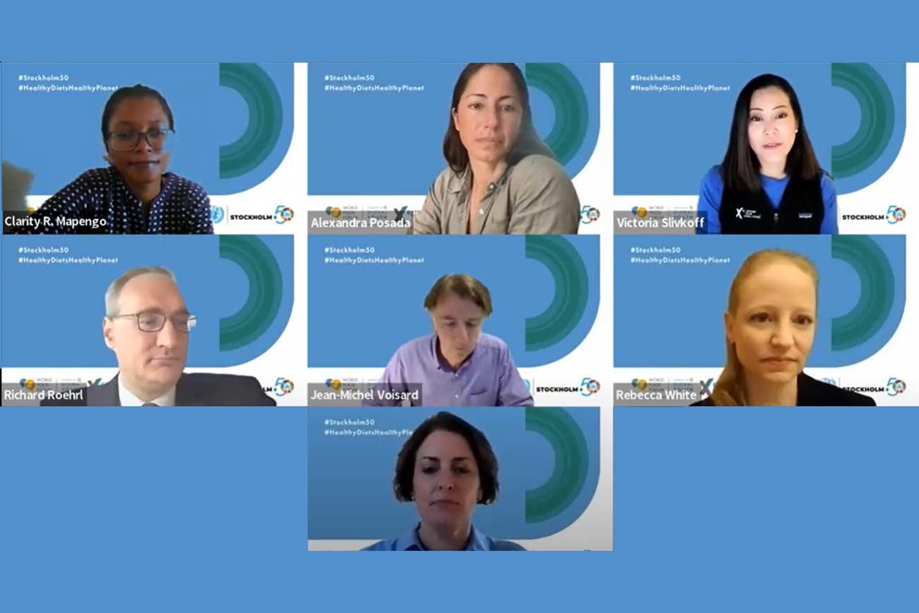 wff-Stockholm+50