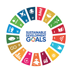 SDGs