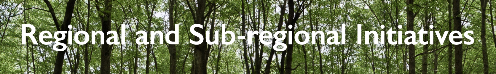 Banner_Africa